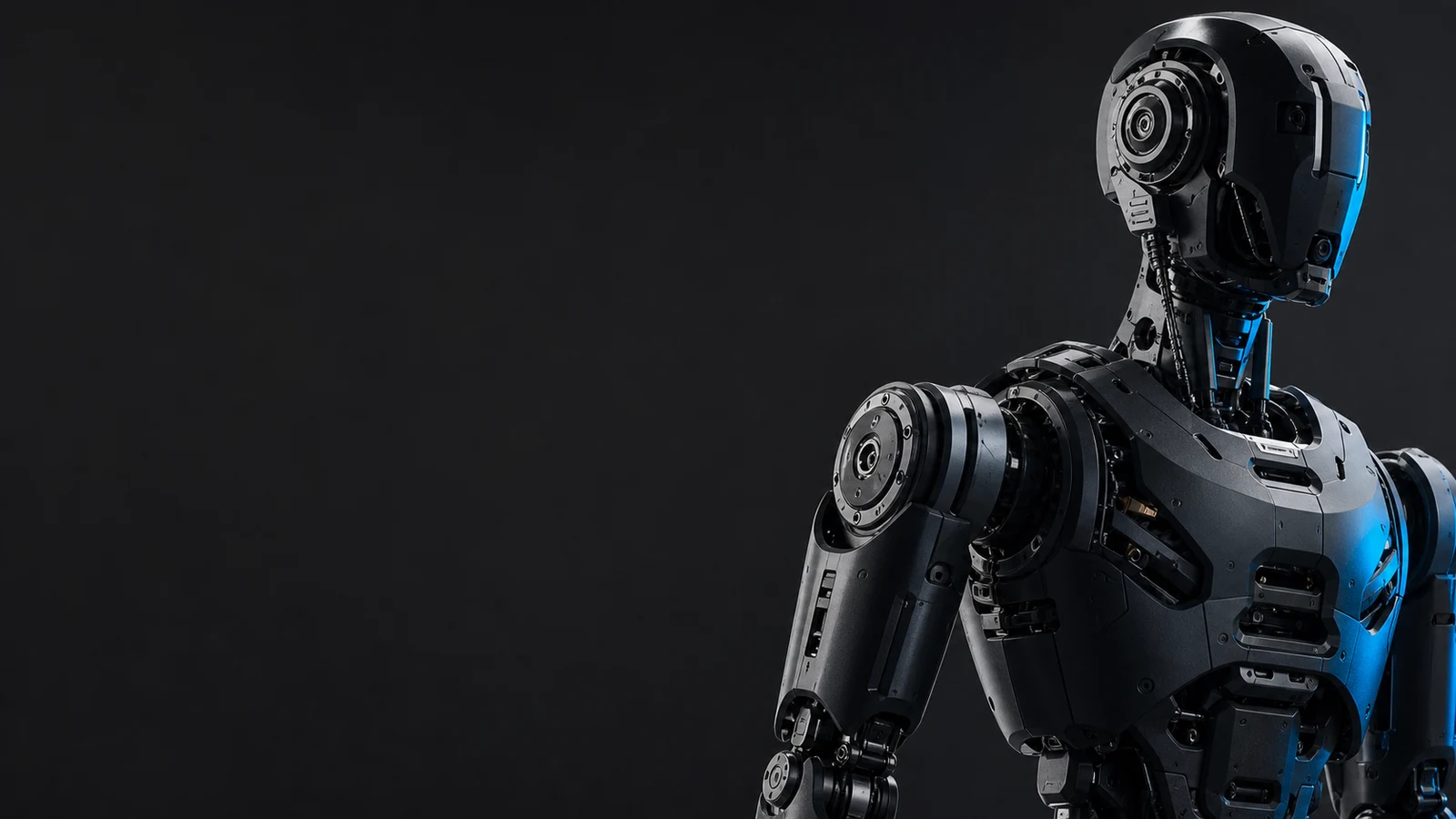 Humanoid robot joint engineering program